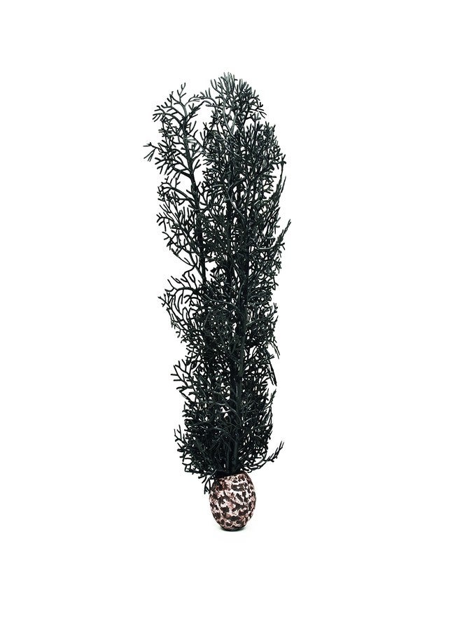 biOrb 46097.0 Sea Fan Medium Black Aquariums 3 x 3 x 14.2 inches - Image 1